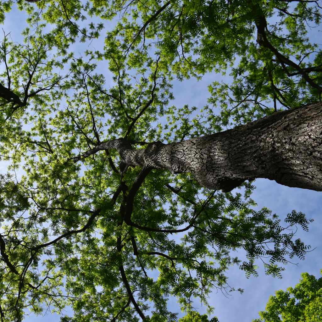 Key Factors That Determine Value