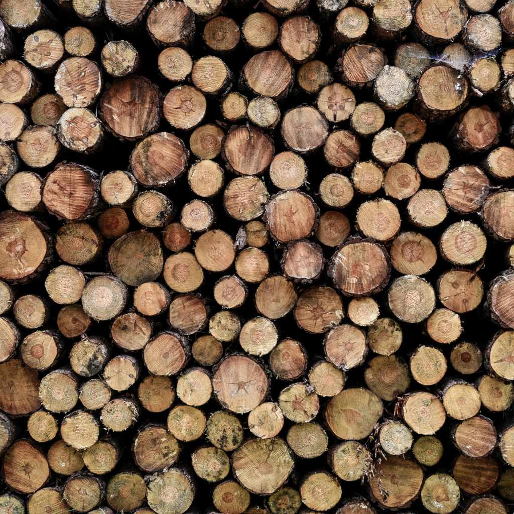 Best Way To Store Wood Outside