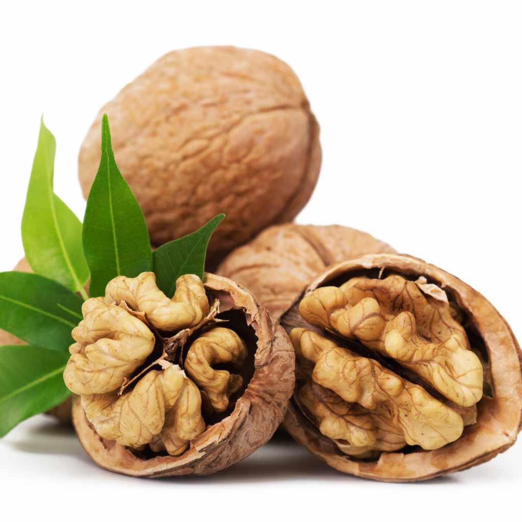 Identifying Black Walnuts vs. English Walnuts