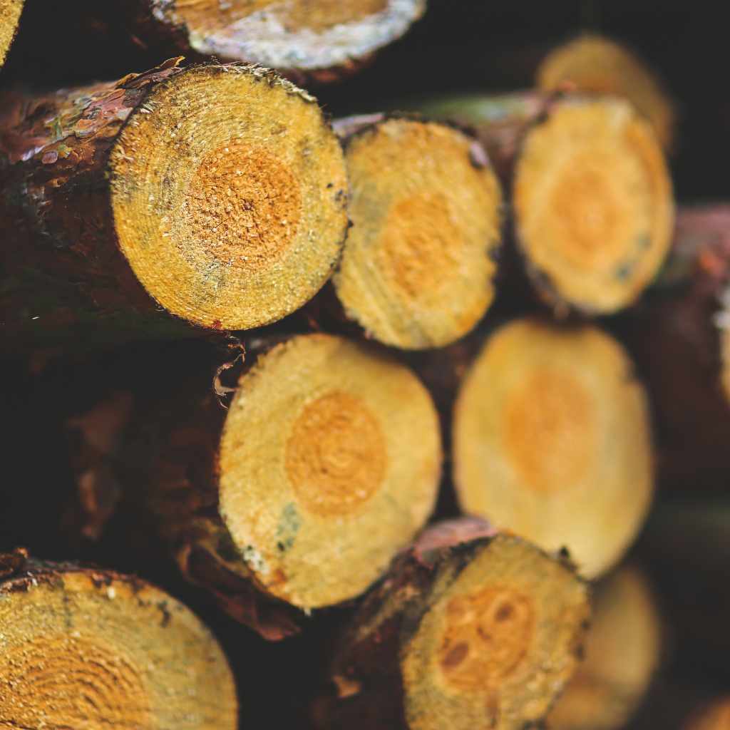 How Cedar Resists Rot