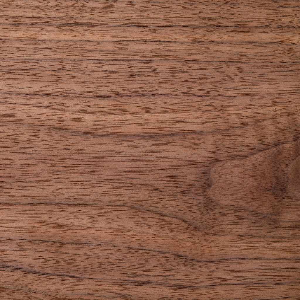 Claro Walnut vs Black Walnut at a Glance