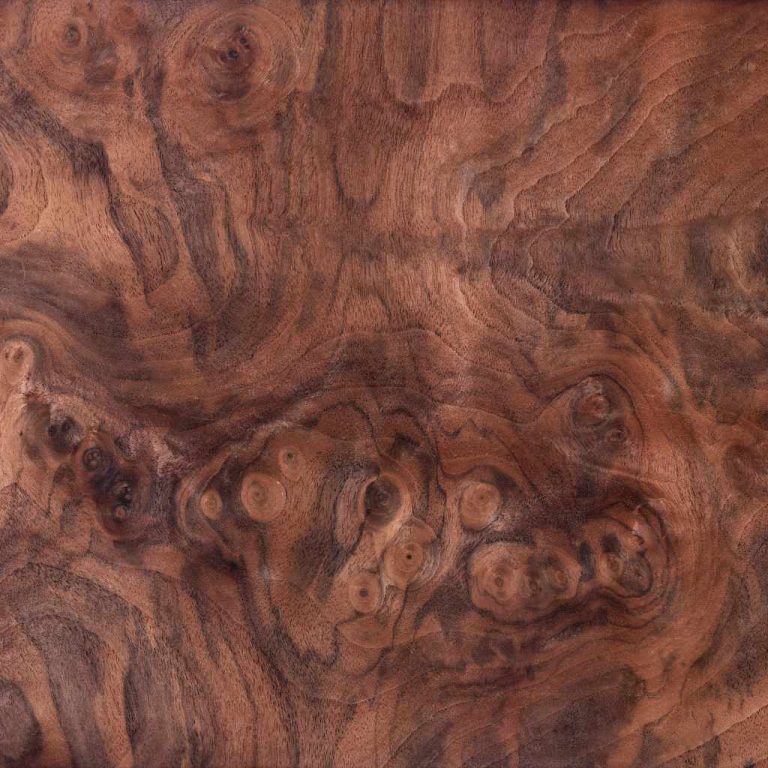 Claro Walnut Vs Black Walnut
