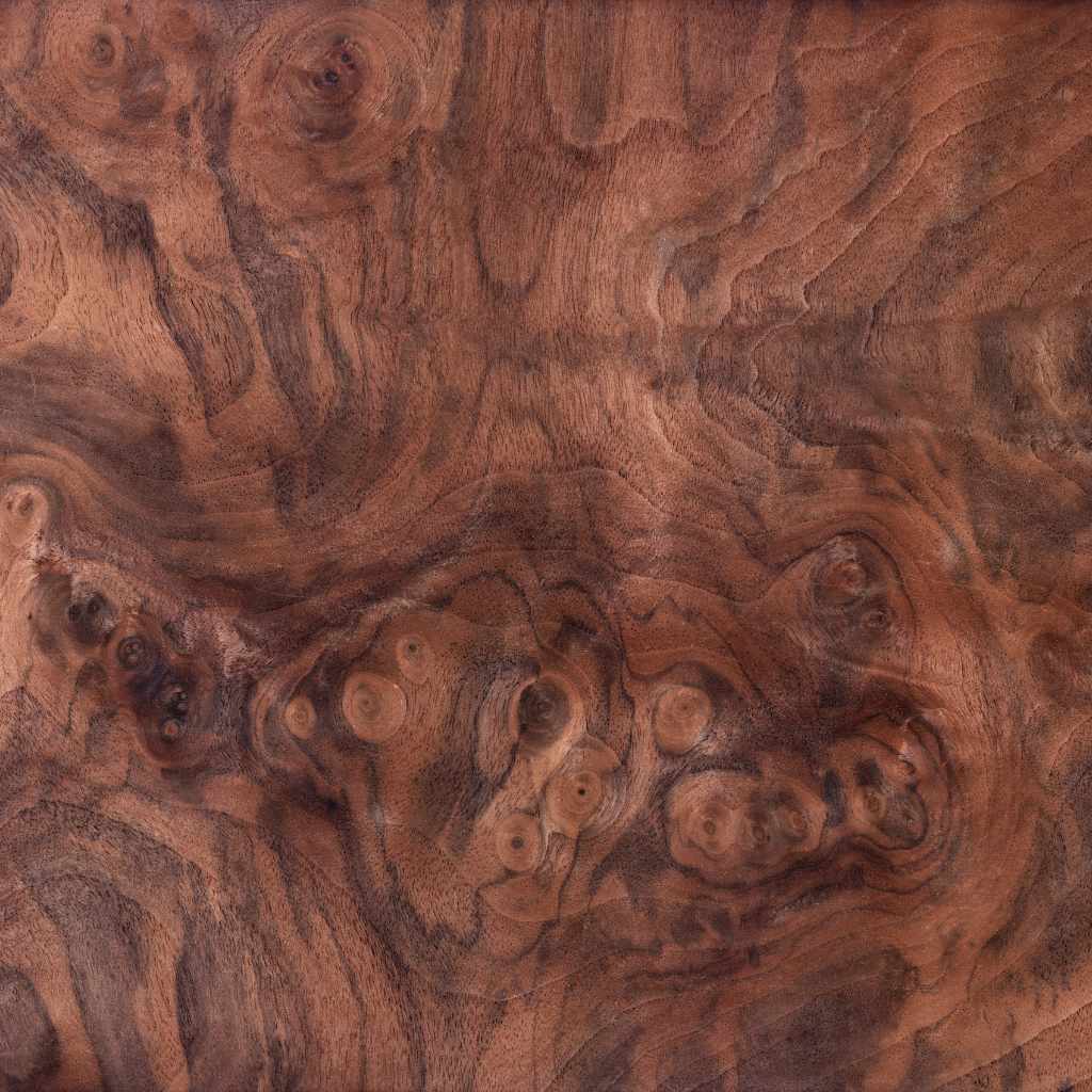Claro Walnut Vs Black Walnut