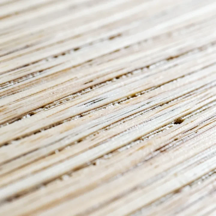 close-up of American swamp ash wood grain showing its open pores close-up of American swamp ash wood grain showing its open pores