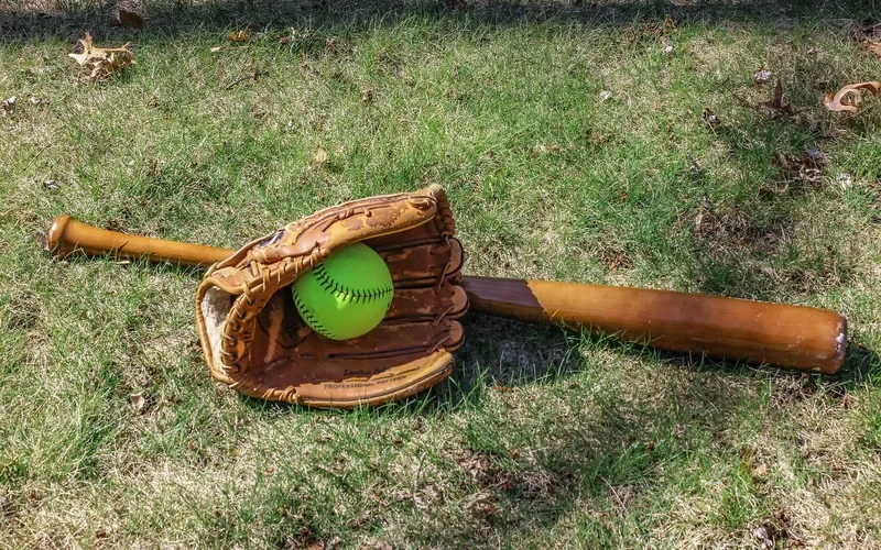 Wooden baseball bat and glove resting on grass Wooden baseball bat and glove resting on grass