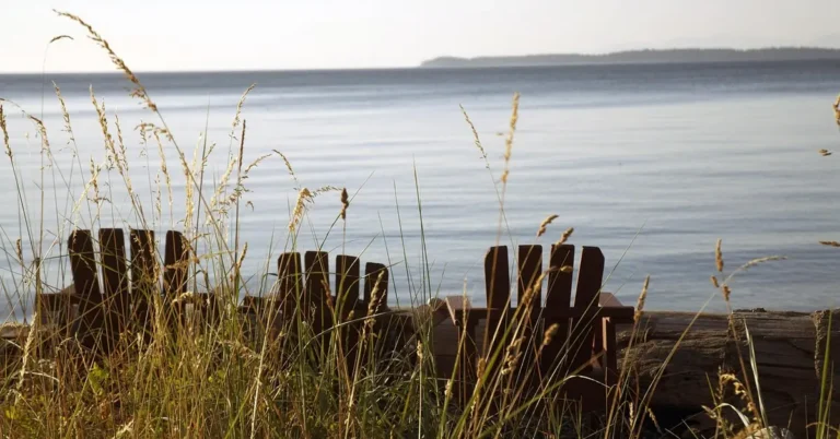 Wooden Adirondack chairs weathering naturally outdoors by the water