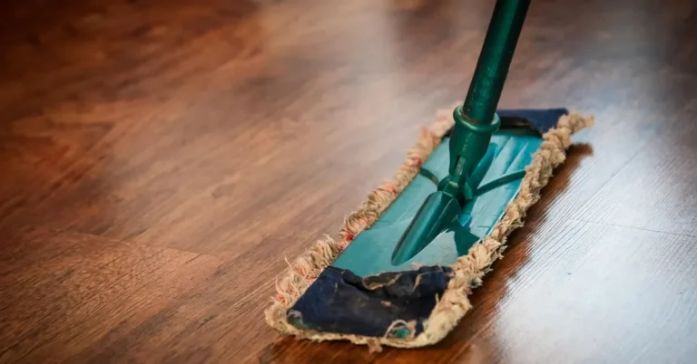 Microfiber mop cleaning a hardwood floor