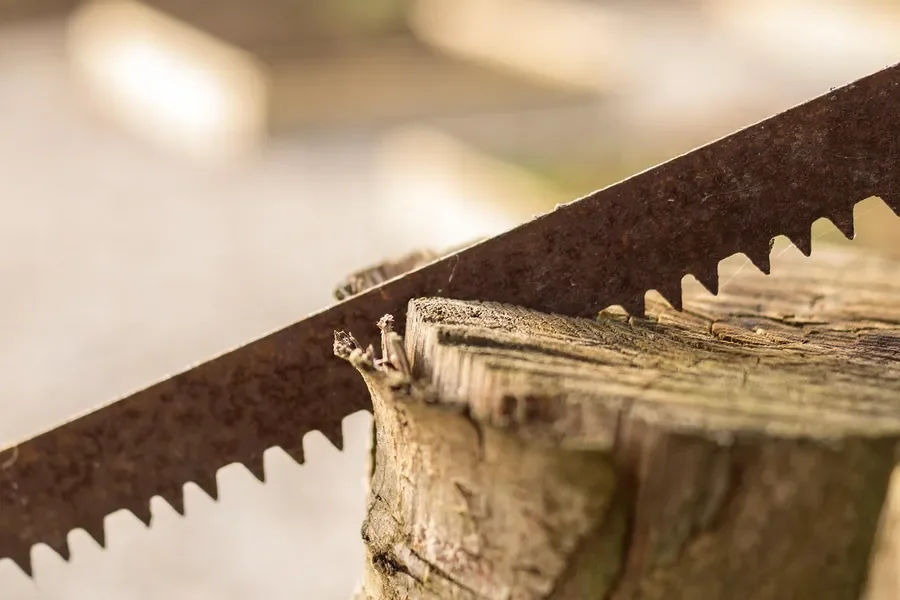 Rusty hand saw blade with coarse teeth resting on a log