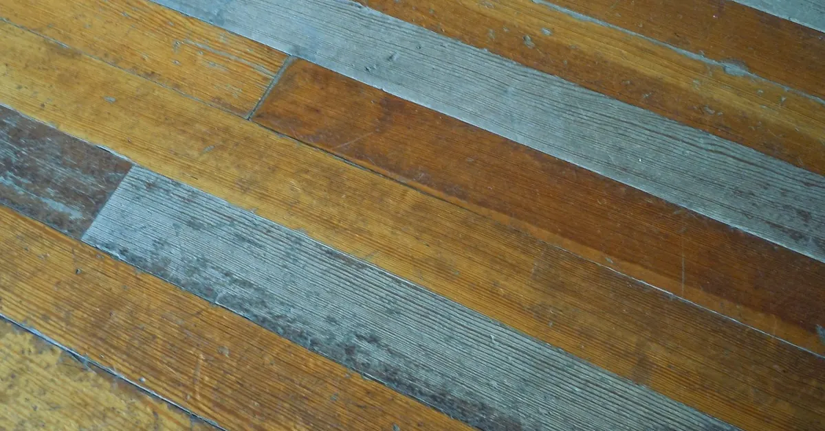 Freshly installed hardwood floor planks in a bright room