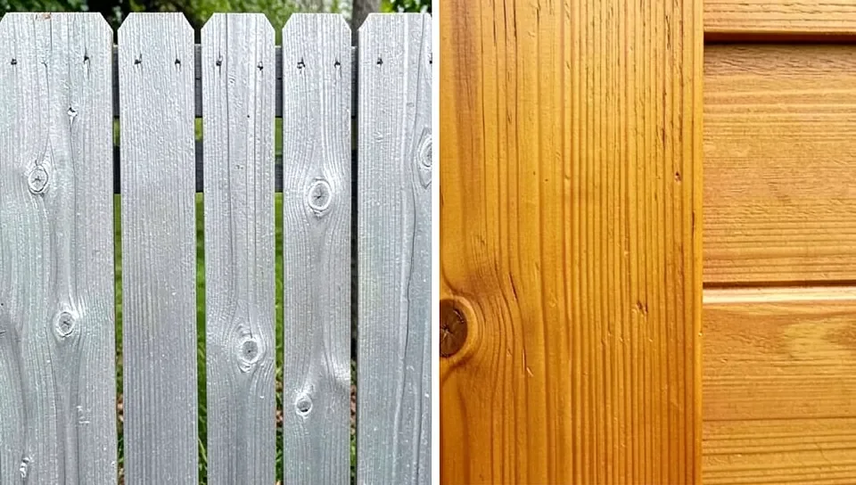 Weathered gray cedar fence compared to freshly stained cedar fence