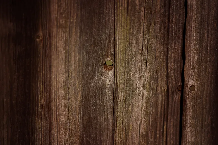 Close-up of weathered vertical wood fence boards