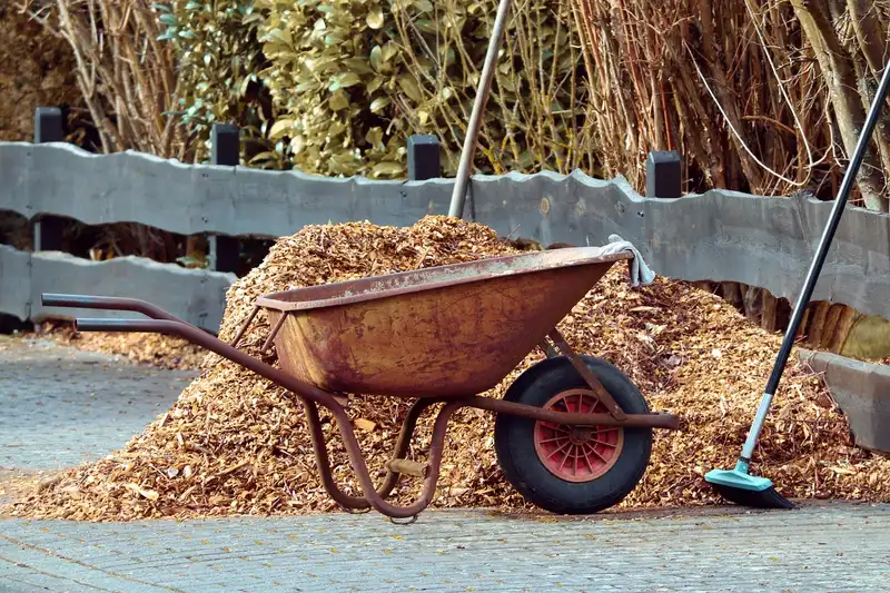 Wheelbarrow next to a bulk pile of mulch being spread in a garden