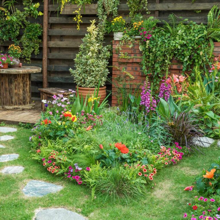 Are Cherry Laurels Deer Resistant