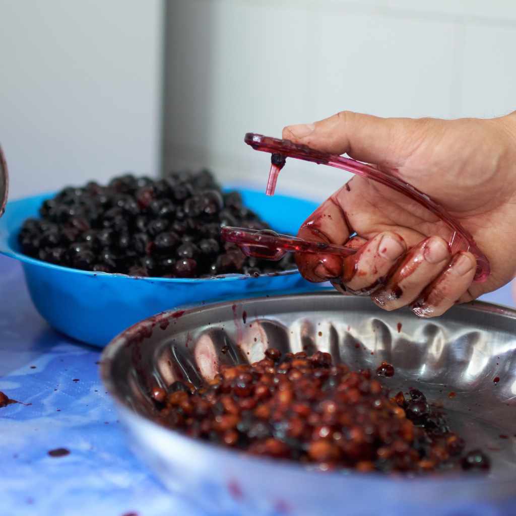 Summary Of Cherry Pit Vs Seed