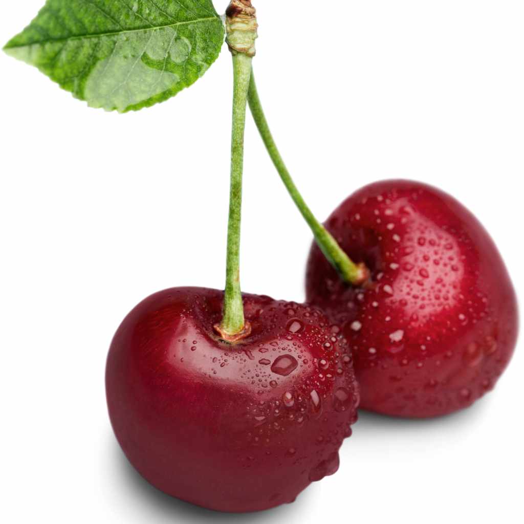 Comparing Cherry Pits to Other Fruit Seeds