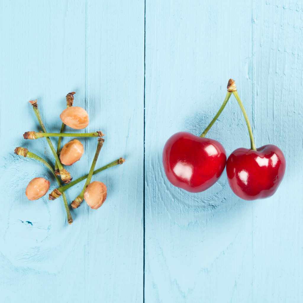 Are Cherry Pits Toxic What You Need to Know