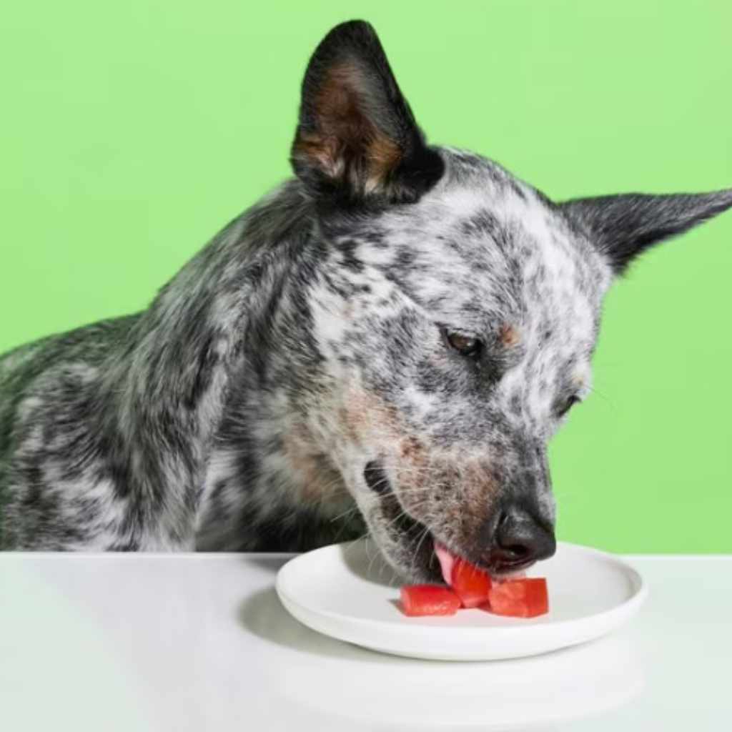 Comparing Tomatoes to Other Fruits and Vegetables