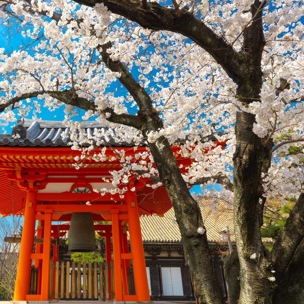 Ornamental vs. Fruit-Bearing Trees