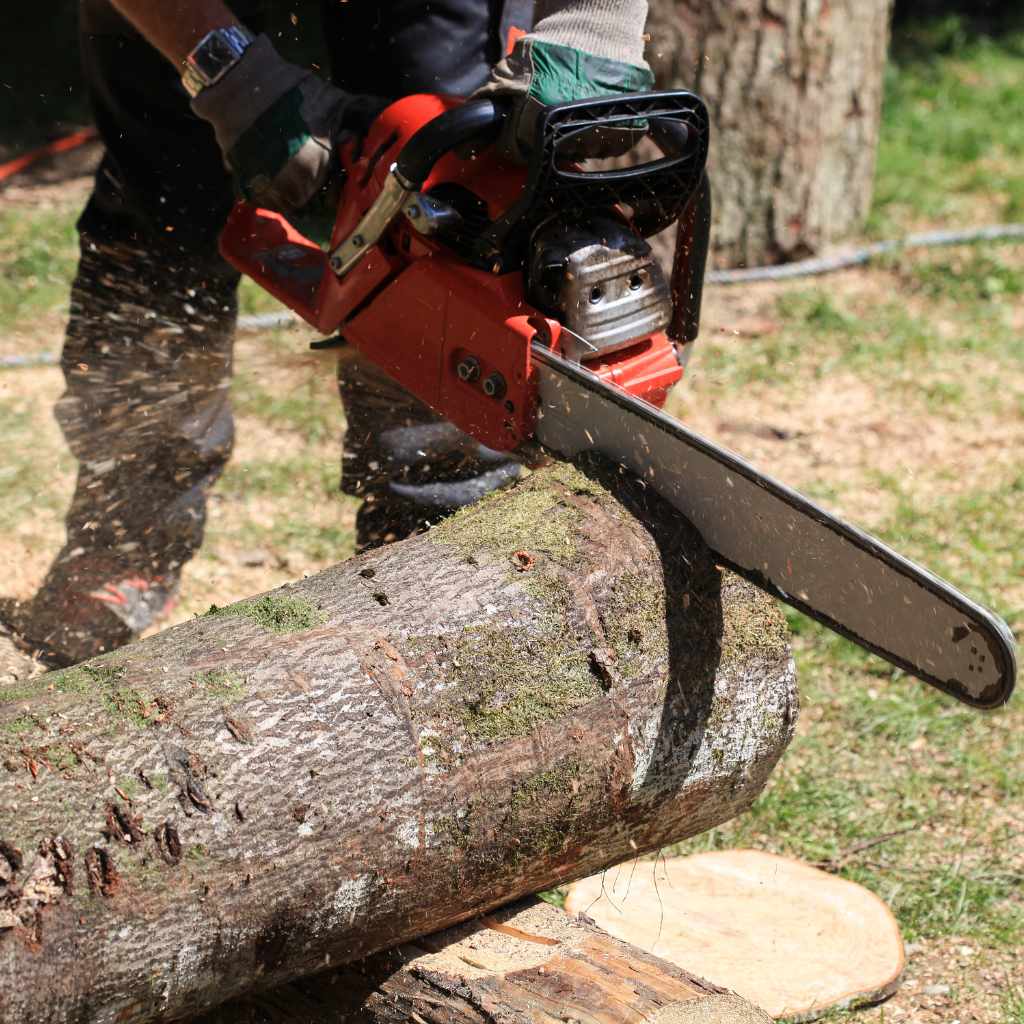 Dealing with Different Wood Types