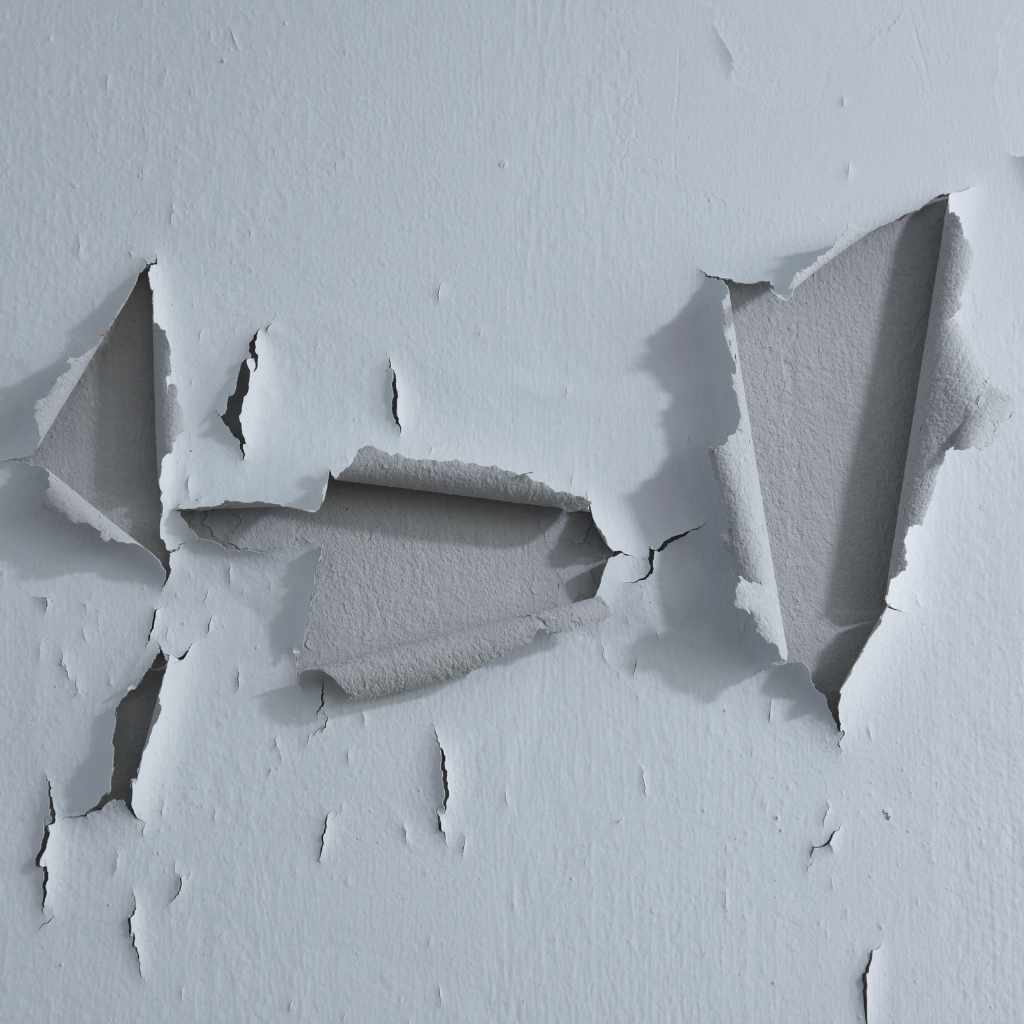 Tips For Long-lasting Paint