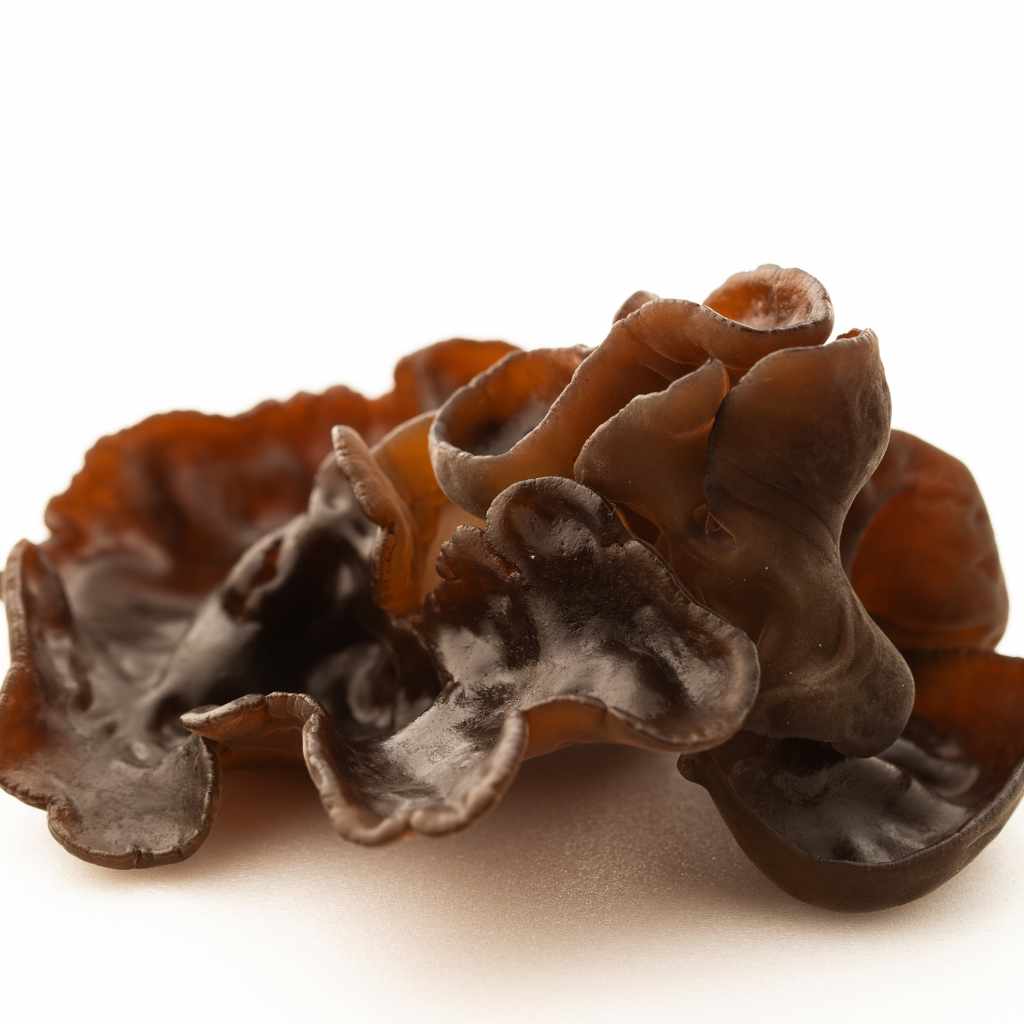 Key Differences and Similarities