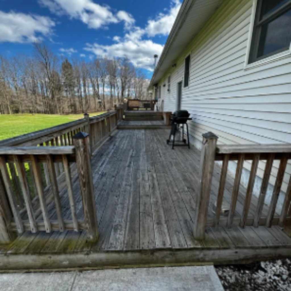 Black Paint Essentials