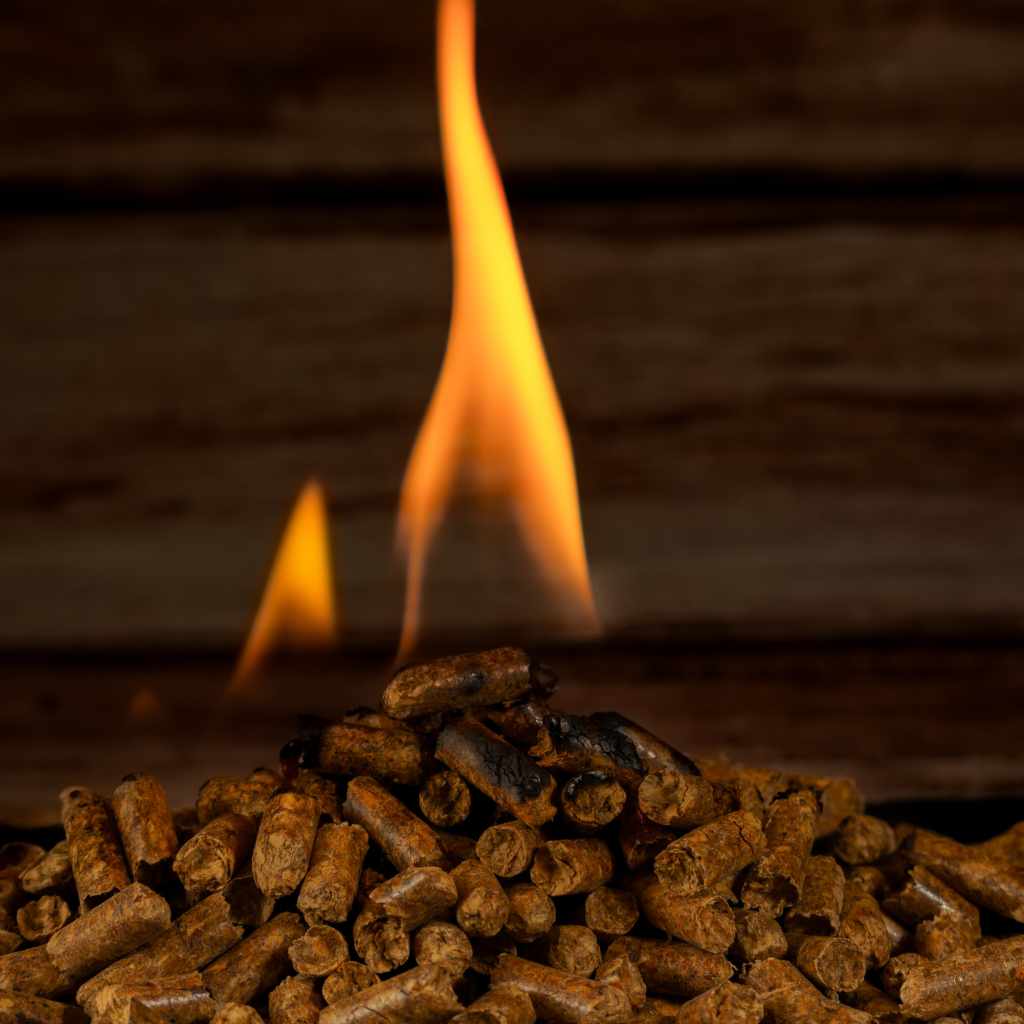 Troubleshooting Common Issues