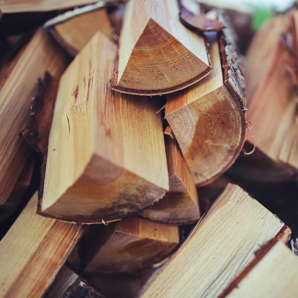 Can You Burn Wood with Mold