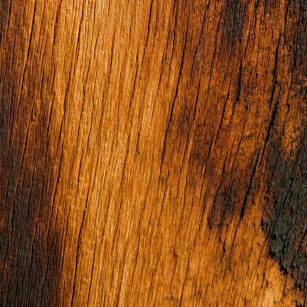 The Science of Wood and Water