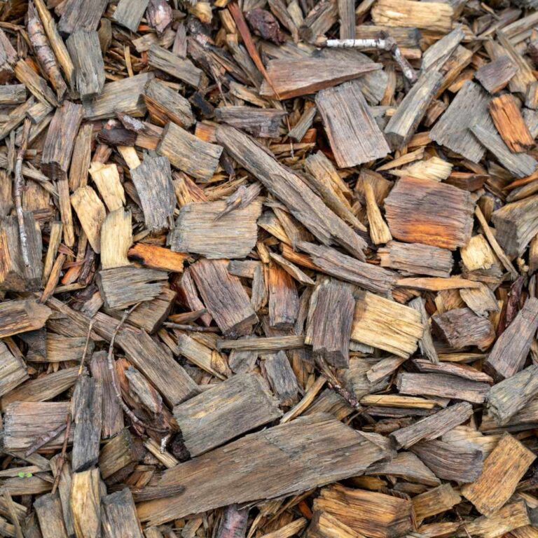 Does Wood Chips Attract Termites