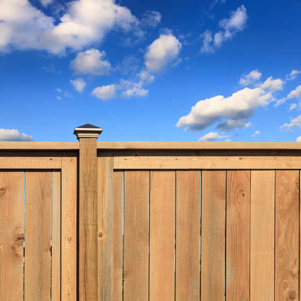 Typical Lifespan Expectations for Cedar Wood Outdoors