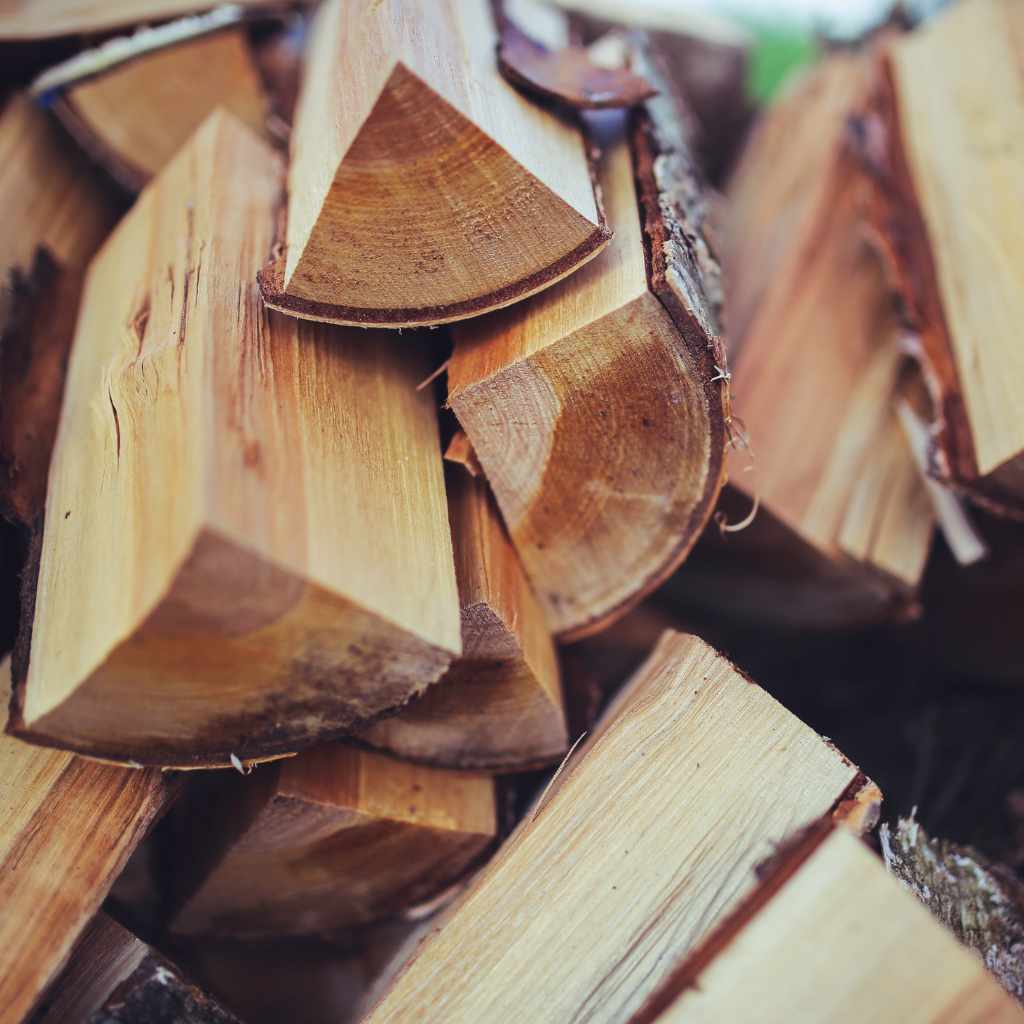 Safe Practices for Handling and Burning Potentially Infected Wood