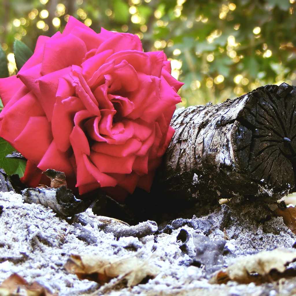 Alternative Advantages and When to Just Use Store-Bought