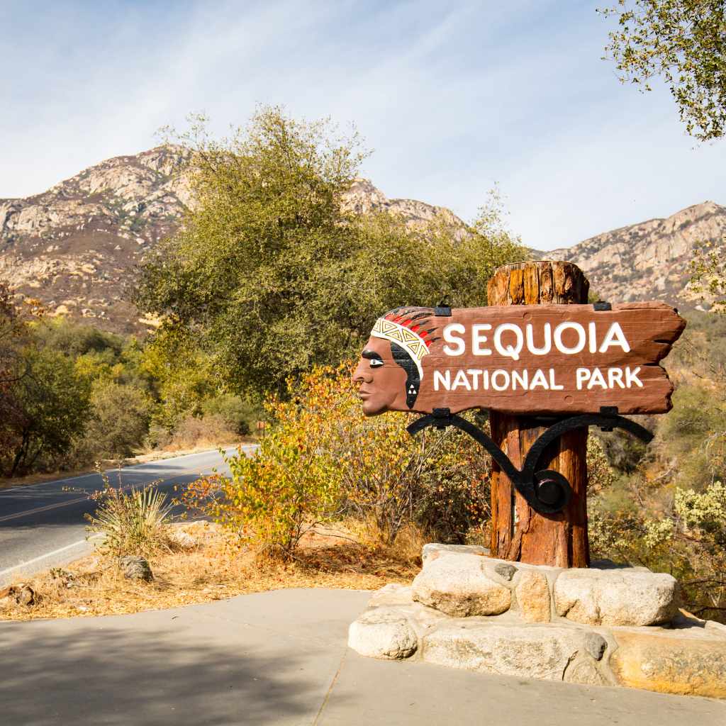 Redwood National Park