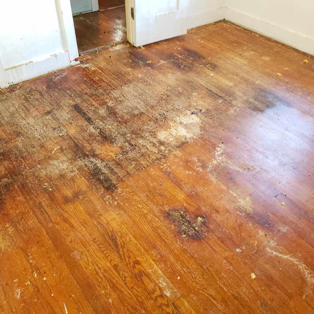 Remove Adhesive from Hardwood Floor