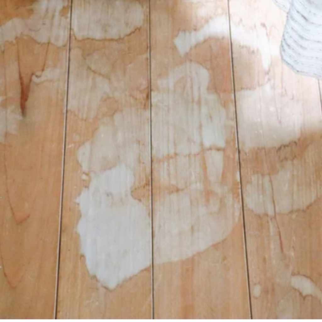 Prevent Future Glue Spills