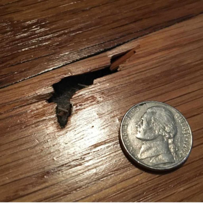 Repair Hole in Hardwood Floor