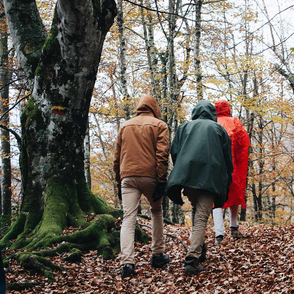 Choosing the Right Footwear