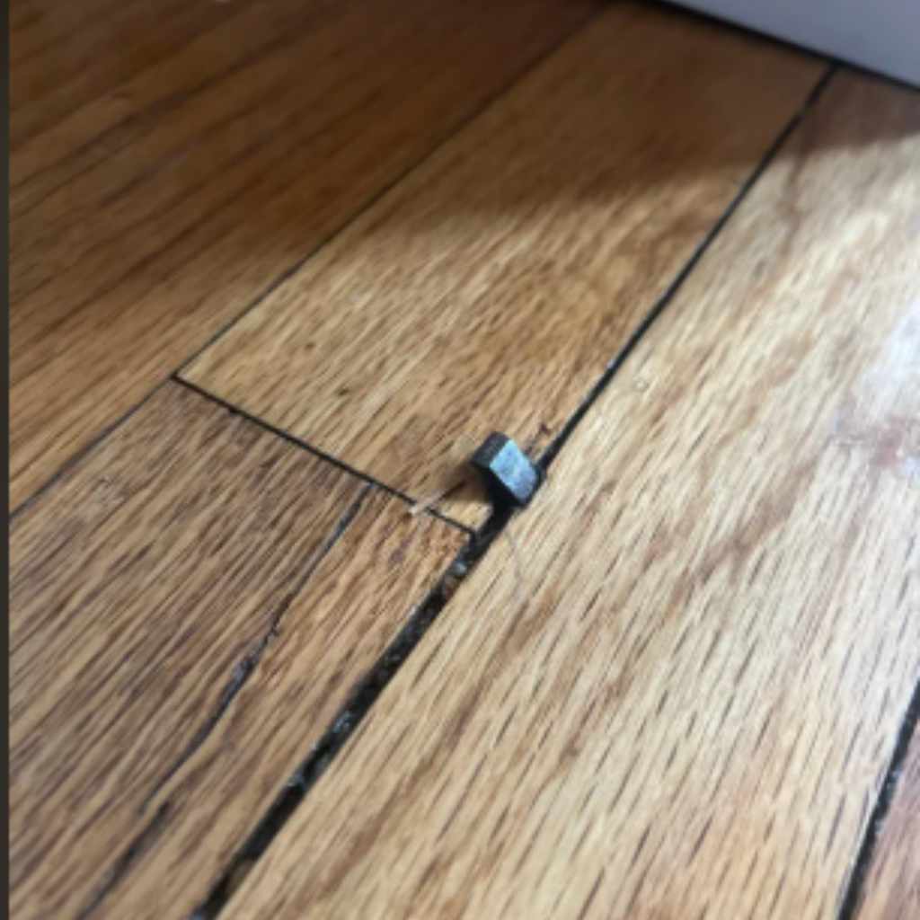 Career, Achievements And Controversies