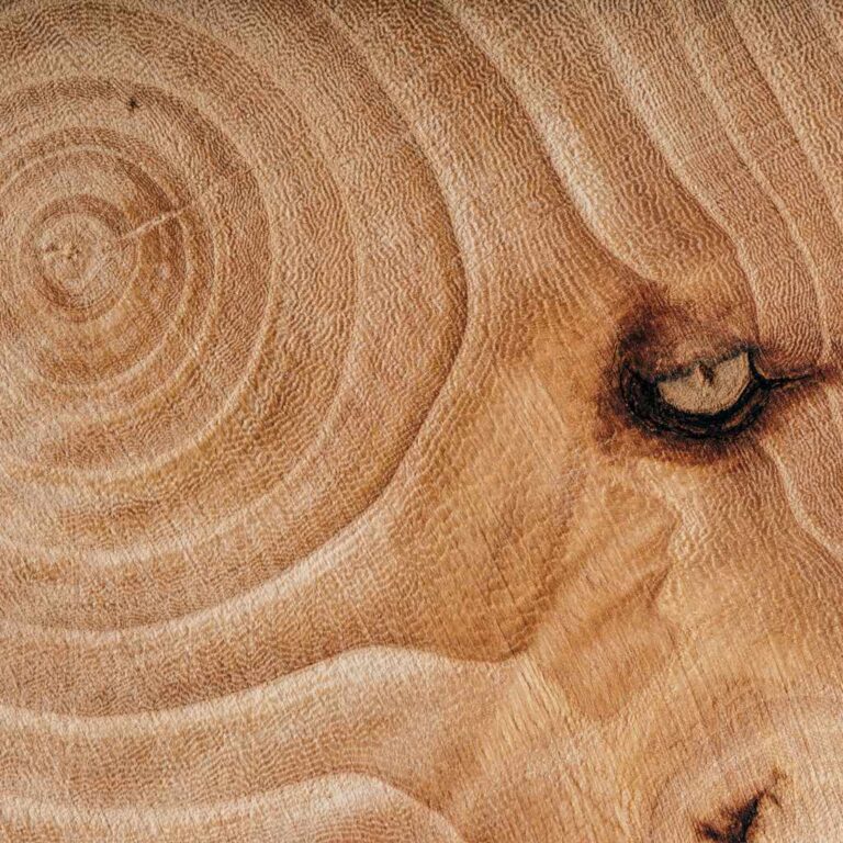 Where Can I Buy Wood Ash