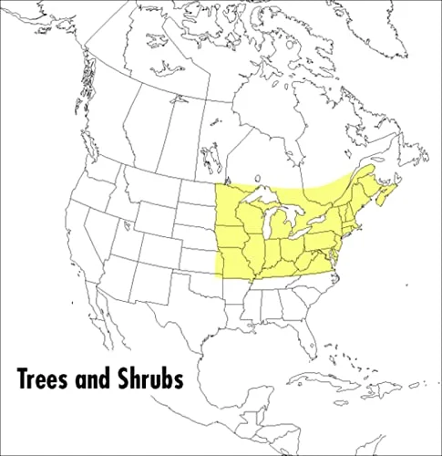 Peterson Field Guide to Trees and Shrubs