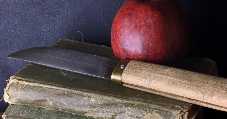 Paring knife with a light wooden handle beside a red apple