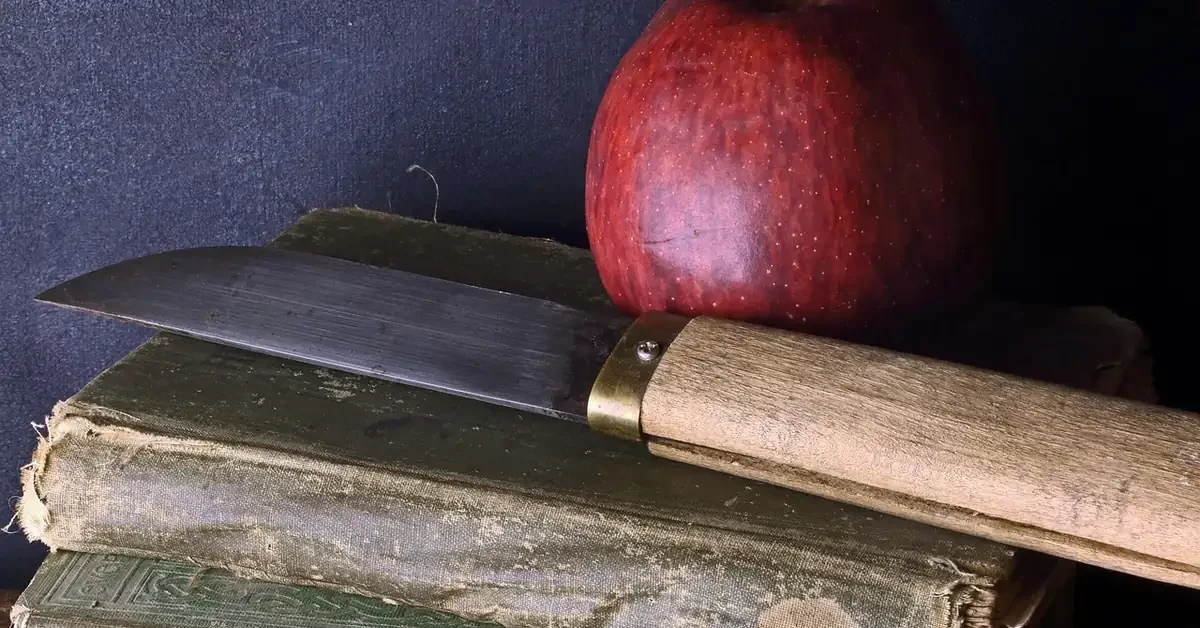 Paring knife with a light wooden handle beside a red apple