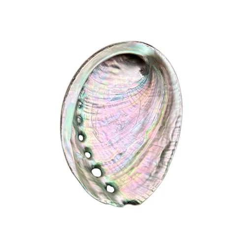 natural abalone shell fireproof smudge bowl