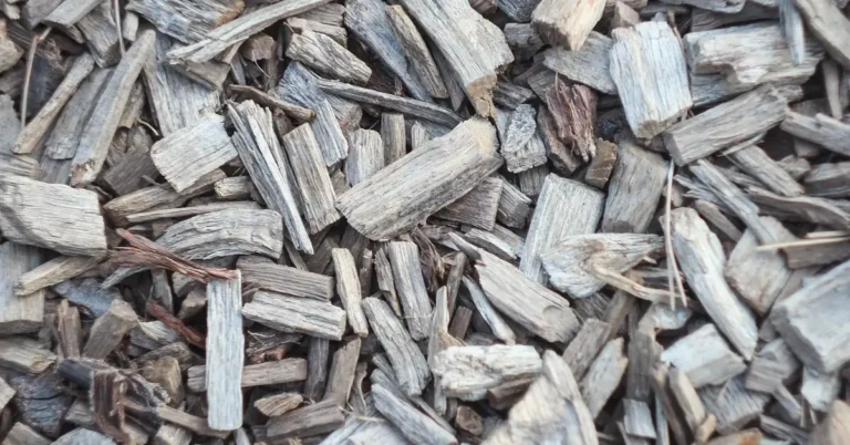 Weathered cedar wood chips breaking down into mulch in a garden bed