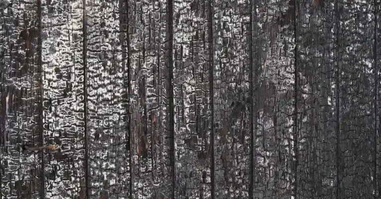 Close-up of charred wood boards showing the alligator-skin texture from surface charring