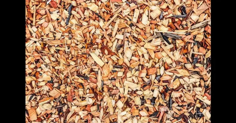 Wood mulch chips that can trap moisture and draw termites near a foundation