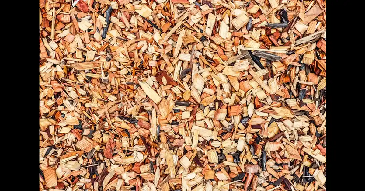 Wood mulch chips that can trap moisture and draw termites near a foundation