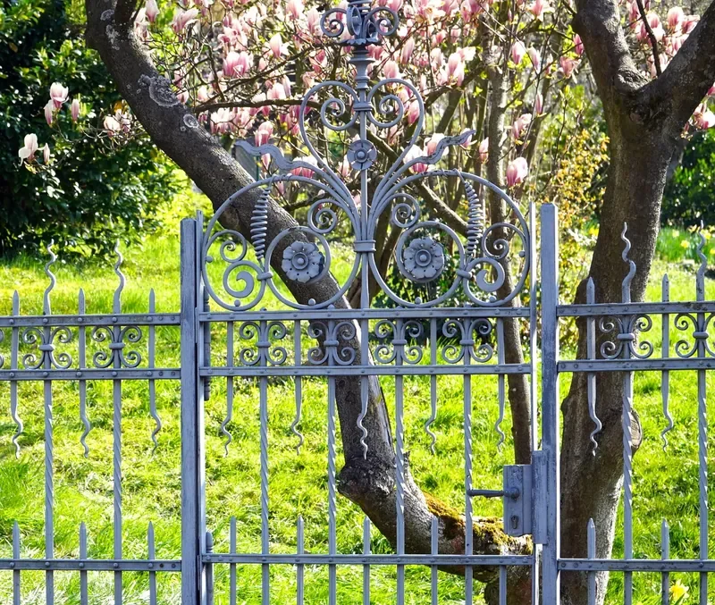 Wrought iron garden gate with scrollwork and finials Wrought iron garden gate with scrollwork and finials