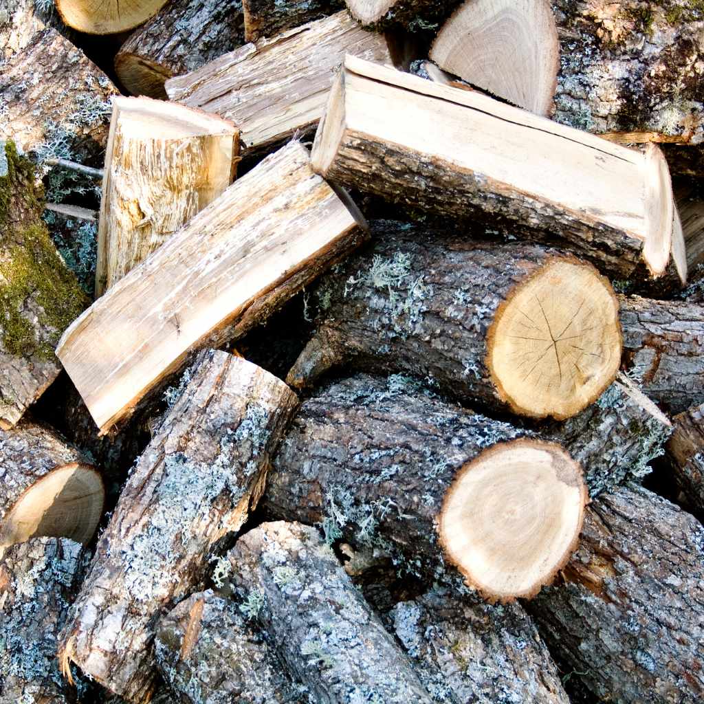 The Flavor Profile of Oak